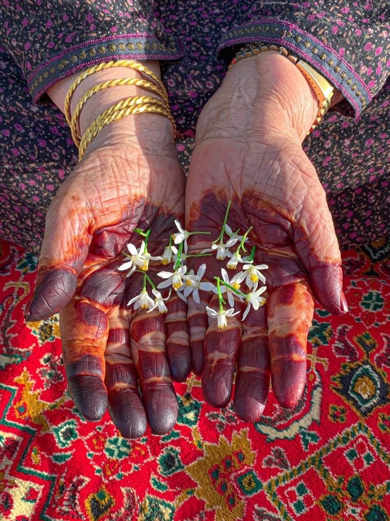 Moroccan tea experience